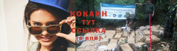 кокс Осташков