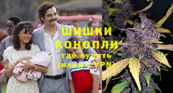 дживик Нягань